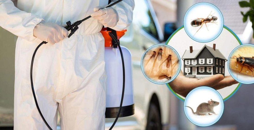 Doğanşar Böcek İlaçlama