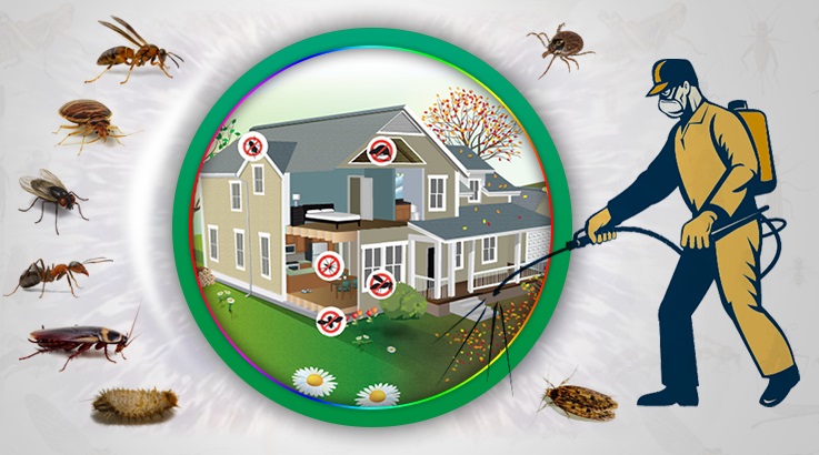 Doğanşar Böcek İlaçlama