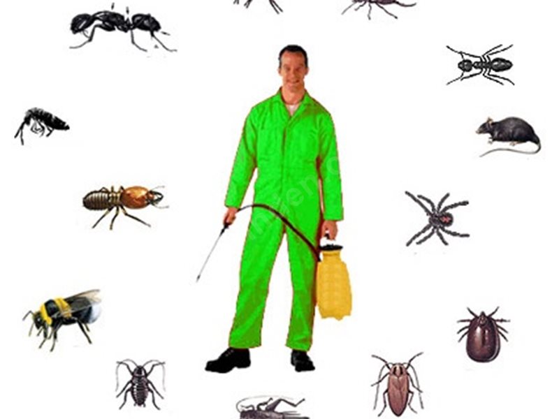 Doğanşar Böcek İlaçlama